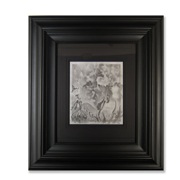 Surreal fine art,  nature landscape Graphite on acid free paper with double matted and custom wood frame.  Image: 8" x 9.5" and Frame: 21" x 24" x 2" inches.  Free shipping within the US!