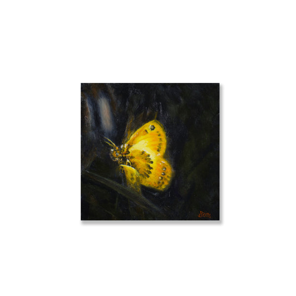 Inner Glow- 6" x 6" painting