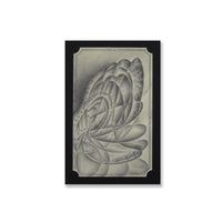 Surreal abstract nature drawing. Graphite on toned paper.  The piece is matted on archival vintage black matting.  Image: 3 3/8" x 5.5" inches  Matte: 4 1/8" x 6.25" inches.  Free shipping within the US!